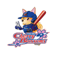 東海理化<br>チェリーブロッサムズ